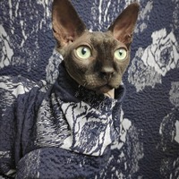 You Don't Bring Me Flowers - Thumbnail 2