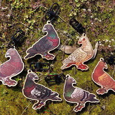 Mystery box: pigeon keychain + sticker