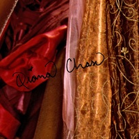 Photo poster, retro,Qiana Chase 05, large size 24.0157x47.6378 inches. Wall decoration, home decor, gift. - Thumbnail 3