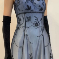 Elegant A Line Blue Delicate Beaded Long Tulle Evening Dresses - Thumbnail 1