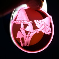 Red Glowing mushroom and moon keychain - Thumbnail 2