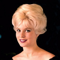 Photo poster, retro June Cochran 1962, large size А1 24.0157x47.6378 inches. Wall decoration, home decor, gift. - Thumbnail 2