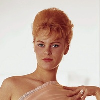 Photo poster, retro Unne Terjesen 1962, large size А1 24.0157x47.6378 inches. Wall decoration, home decor, gift. - Thumbnail 2