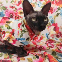 Spring Has Sprung - Thumbnail 2