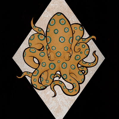 Octopus
