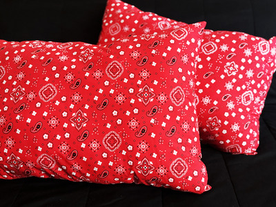 Red Bandana Pillows