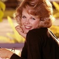 Photo poster, retro,Sue Williams 1965, large size А1 24.0157x47.6378 inches. Wall decoration, home decor, gift. - Thumbnail 2