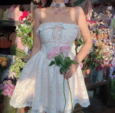 French Tie Waist Mesh Puffy Floral Tulle Dress