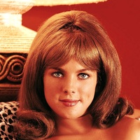 Photo poster, retro,Nancy Harwood 1968, large size А1 24.0157x47.6378 inches. Wall decoration, home decor, gift. - Thumbnail 2