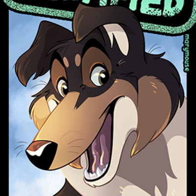 Certified collie - rough