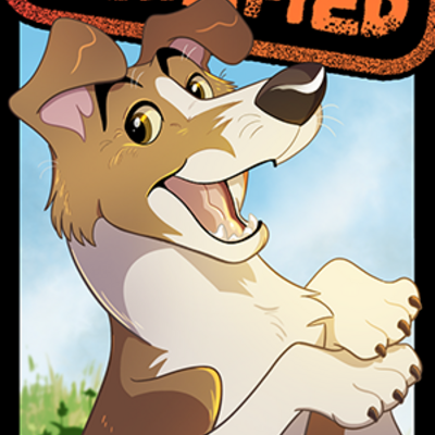 Certified collie - smooth