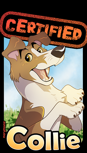 Certified Collie - Smooth