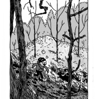 Seeds in Ash - Thumbnail 2