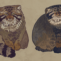 Manul keychains - Thumbnail 1