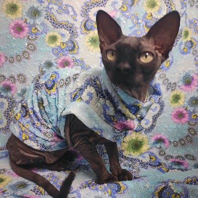 Flower fractals (blue)