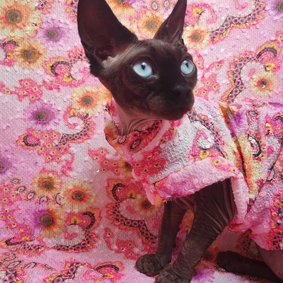 Flower fractals (pink)