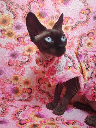 Flower Fractals (Pink)