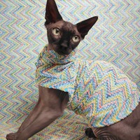 Kitten Chaos - Thumbnail 2