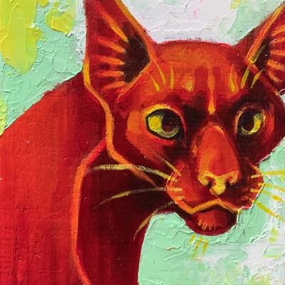 Red cat
