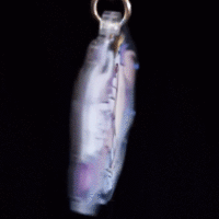 Entei - Double-sided Keychain - Thumbnail 1