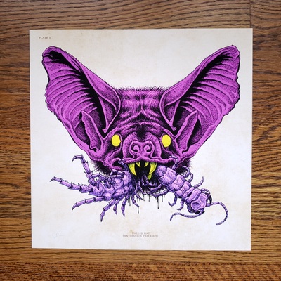 Bat face - prints 11"x11"