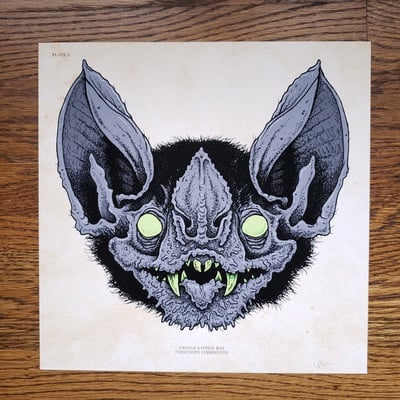 Bat face - prints 11"x11"