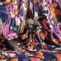 Secret Garden - Velvet - Thumbnail 2