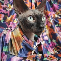 Secret Garden - Velvet - Thumbnail 1