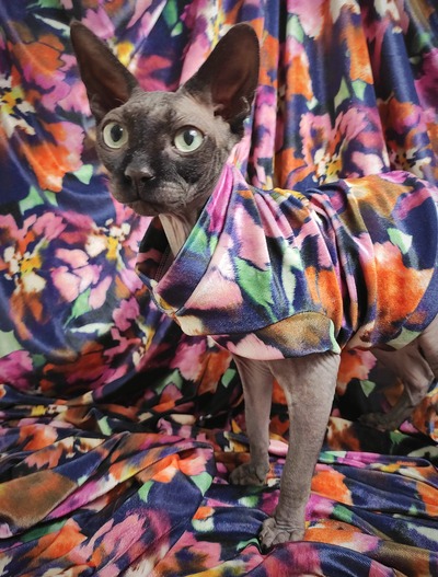 Secret Garden - Velvet