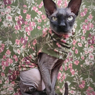 De-vine blooms ribbed for her pleasure 