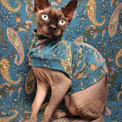 Teal paisley ribbed for her pleasure 