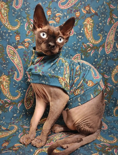 Teal Paisley Ribbed For Her Pleasure 