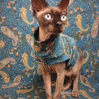 Teal Paisley Ribbed For Her Pleasure  - Thumbnail 1