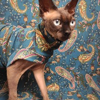 Teal Paisley Ribbed For Her Pleasure  - Thumbnail 2