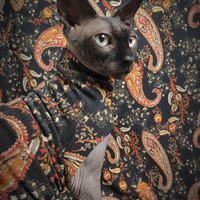 Black Paisley Ribbed For Her Pleasure  - Thumbnail 2