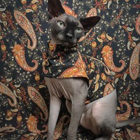 Black Paisley Ribbed For Her Pleasure  - Thumbnail 1