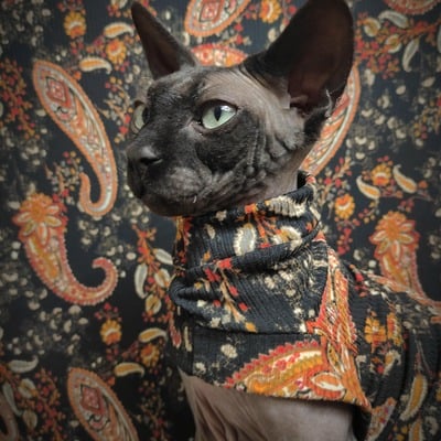 Black paisley ribbed for her pleasure 