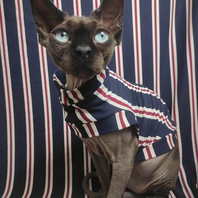 Ralph clawren - sleepwear