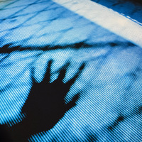 An Omen - FRAMED giclée print - 12" x 12" album edition - analog(oblivion) 013c - Thumbnail 4