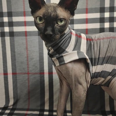 Purrrberry - sleepwear