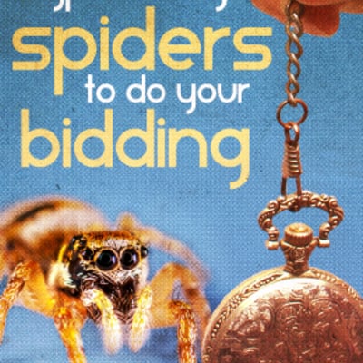 Hypnotizing spiders to do your bidding