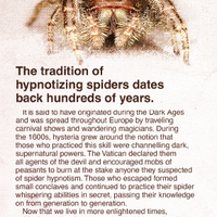 Hypnotizing Spiders to do Your Bidding - Thumbnail 2