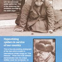 Hypnotizing Spiders to do Your Bidding - Thumbnail 3