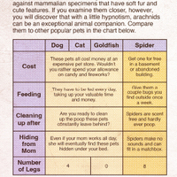 Hypnotizing Spiders to do Your Bidding - Thumbnail 4