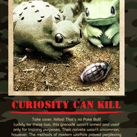 Pokemon of the Vietnam War - Thumbnail 3