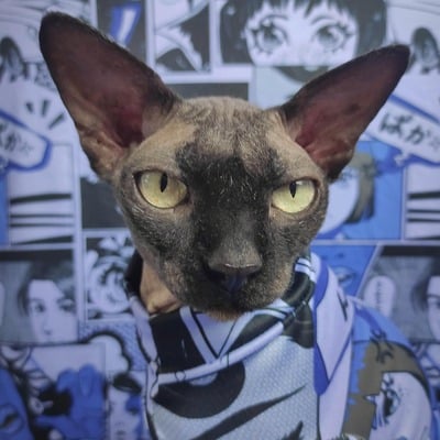 Japanime - sleepwear