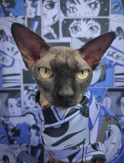 Japanime - Sleepwear