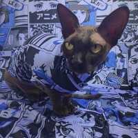 Japanime - Sleepwear - Thumbnail 2