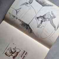 84 LK. - Thumbnail 4