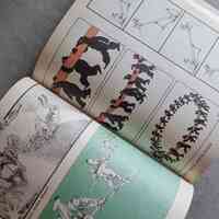 H0m0 Novus - Thumbnail 4